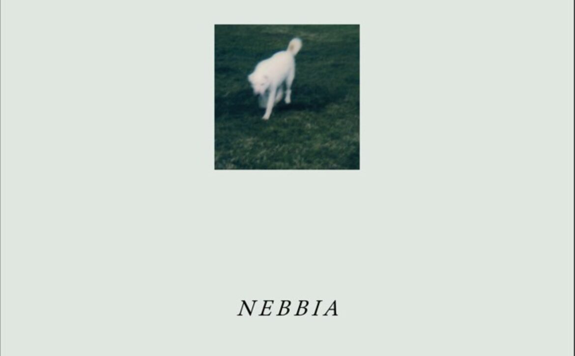 Nebbia-poster